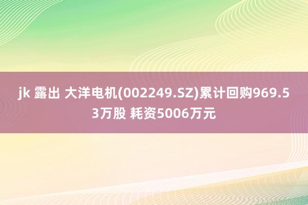 jk 露出 大洋电机(002249.SZ)累计回购969.53万股 耗资5006万元