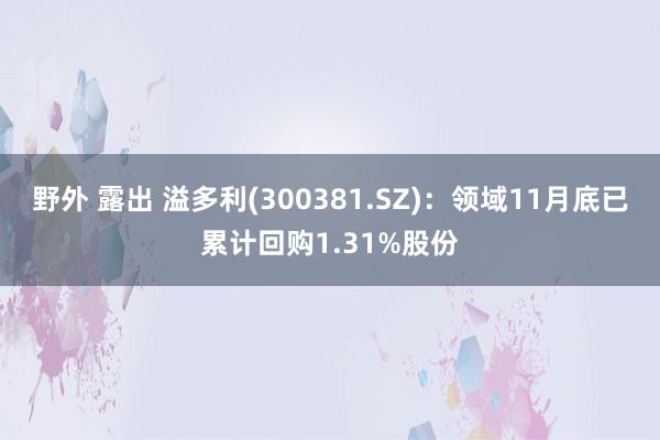 野外 露出 溢多利(300381.SZ)：领域11月底已累计回购1.31%股份